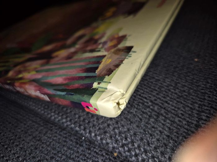 Grand livre frou_frou - photo numéro 8