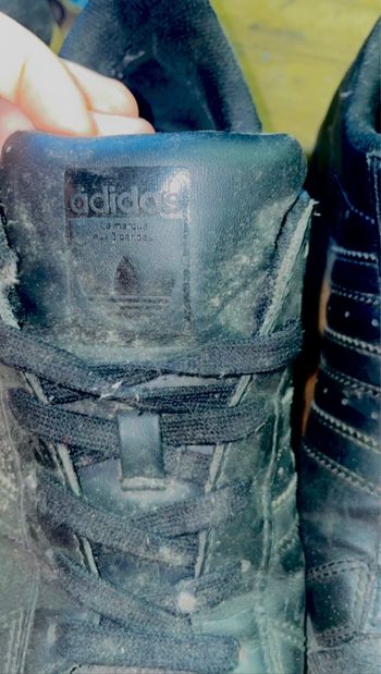 Baskets adidas