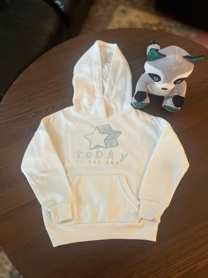 Sweat a capuche garçon 3-4 ans