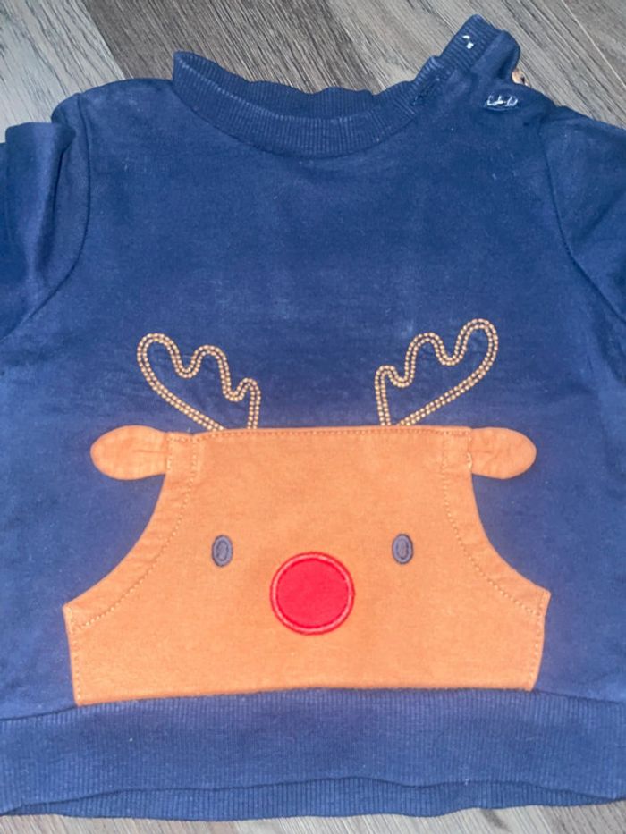 Pull cerf - photo numéro 2