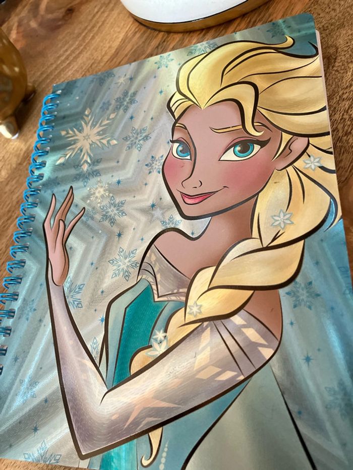 Disneyland cahier livre la reine des neiges - photo numéro 7