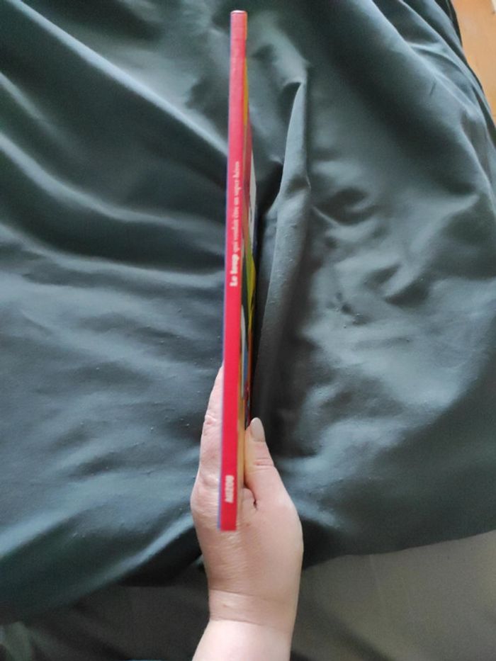 Le loup qui voulait être un super héros - photo numéro 3