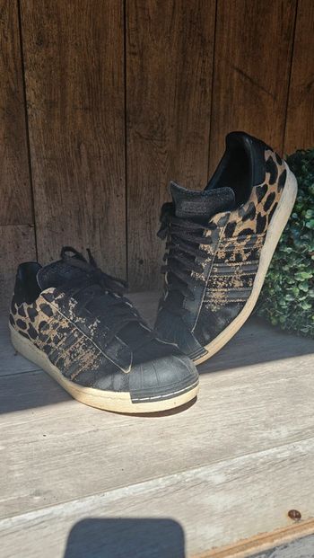 Adidas superstar Leo 🐆