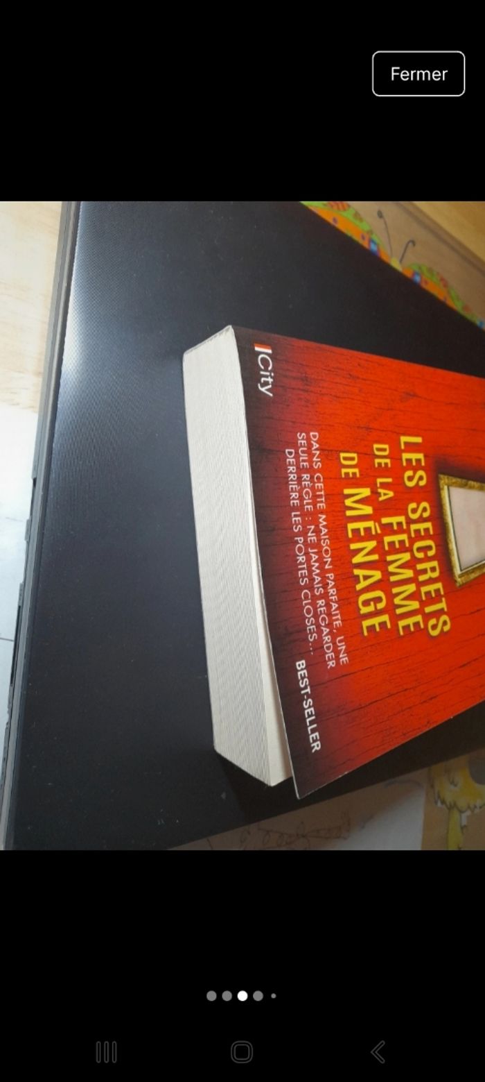 Les secrets de la femme de ménage - photo numéro 3