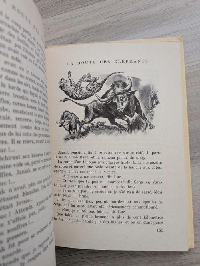 La route des éléphants rouge et or - photo numéro 6