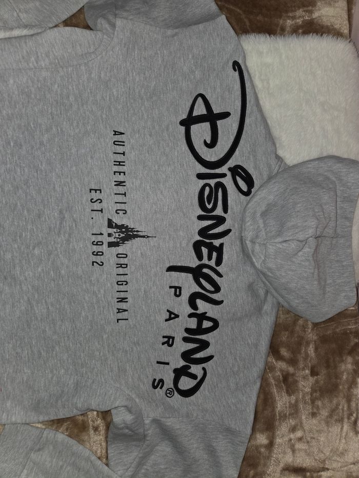 Sweat zip à capuche logo ©️ Disneyland Paris taille L +1 goodies Disney 🎁 offert - photo numéro 5