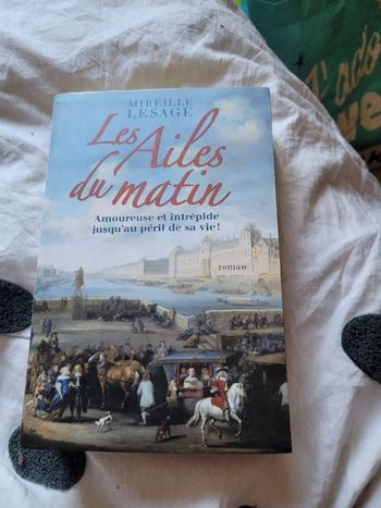 Les ailes du matin Mireille Lesage