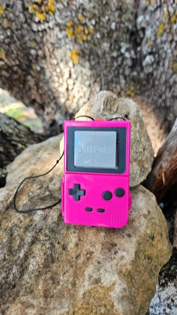 Super figurine Pokemon Nintendo battpoke