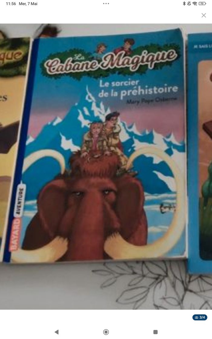 Cabanne magique le sorcier de la préhistoire tome 6