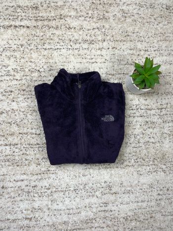 Polaire the north face