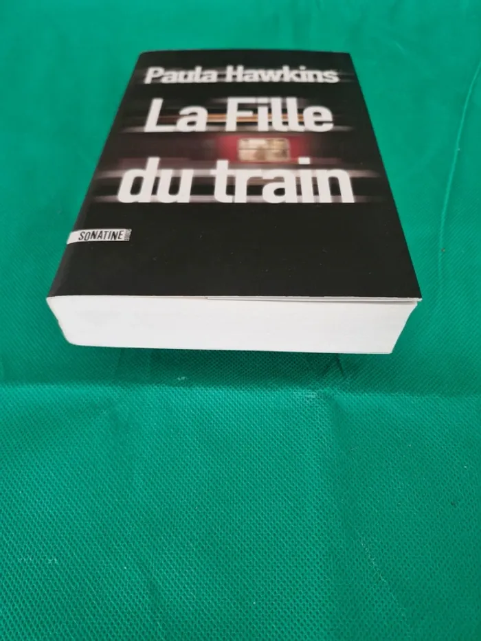 La fille du train Paula Hawkins - photo numéro 2