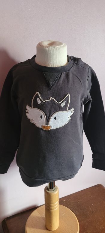 Pull renard 