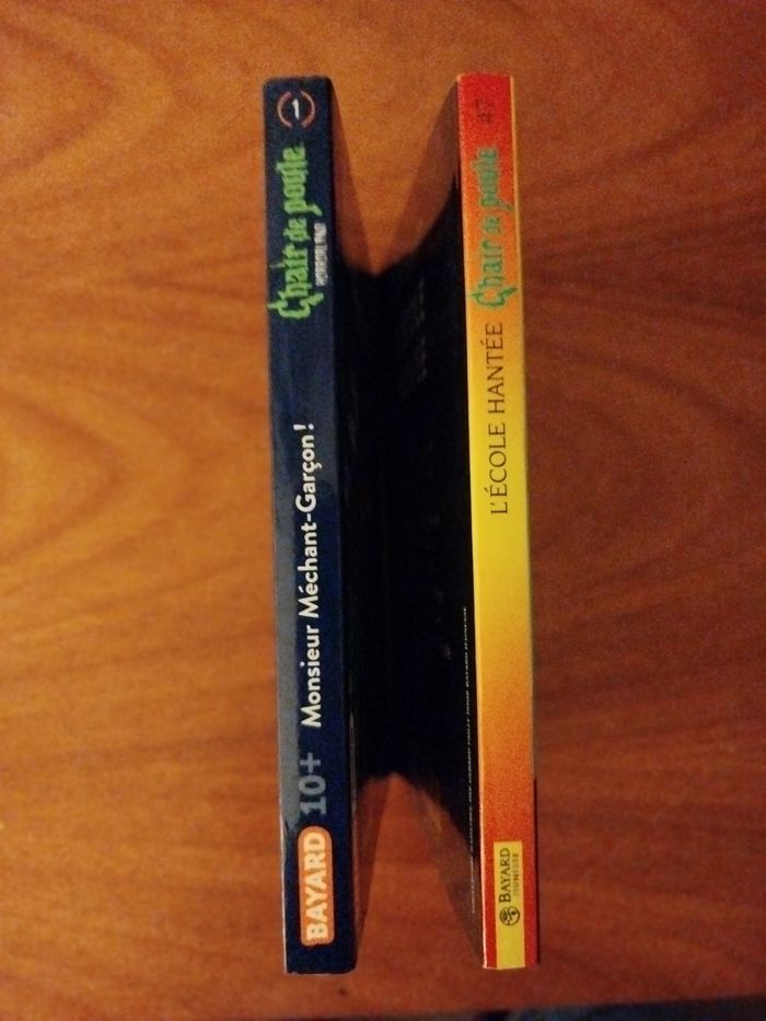 2 livres Chair de poule tome 1 et 47 "Horrorland" et "l'école hantée" - photo numéro 3