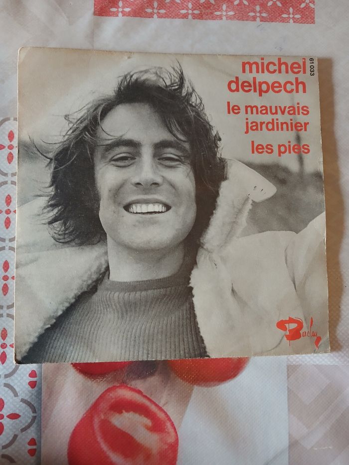 45T Michel Delpech : Les mauvais jardinier - photo numéro 1