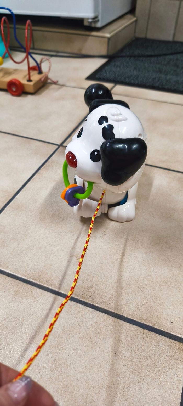 Chien a tirer - photo numéro 5