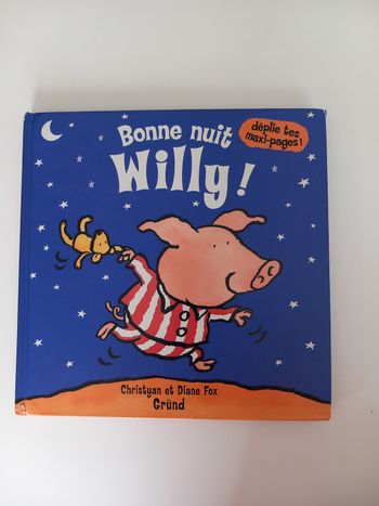 Livre pop up Willy