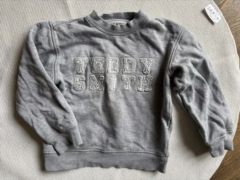 Sweat gris 6 ans tbe Teddy smith