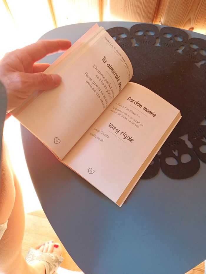 Livre Cendrillon_75 cherche homme parfait - photo numéro 6