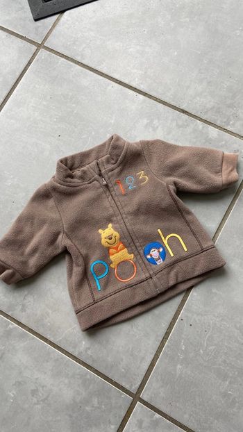 polaire winnie l’ourson