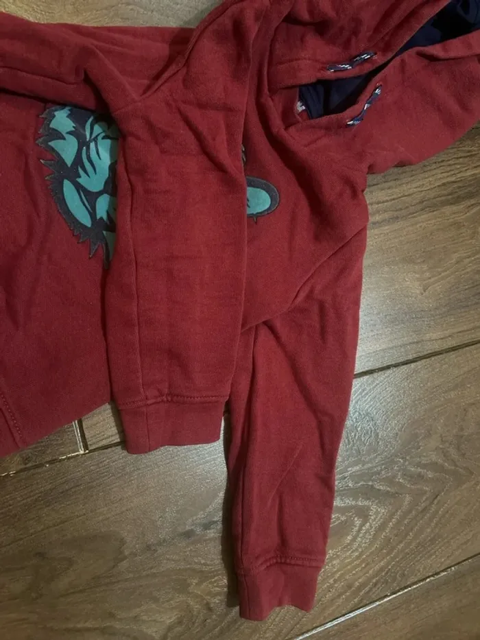 Sweat pull à capuche garcon en coton bordeaux motif tigre sergent major 3 ans - photo numéro 8