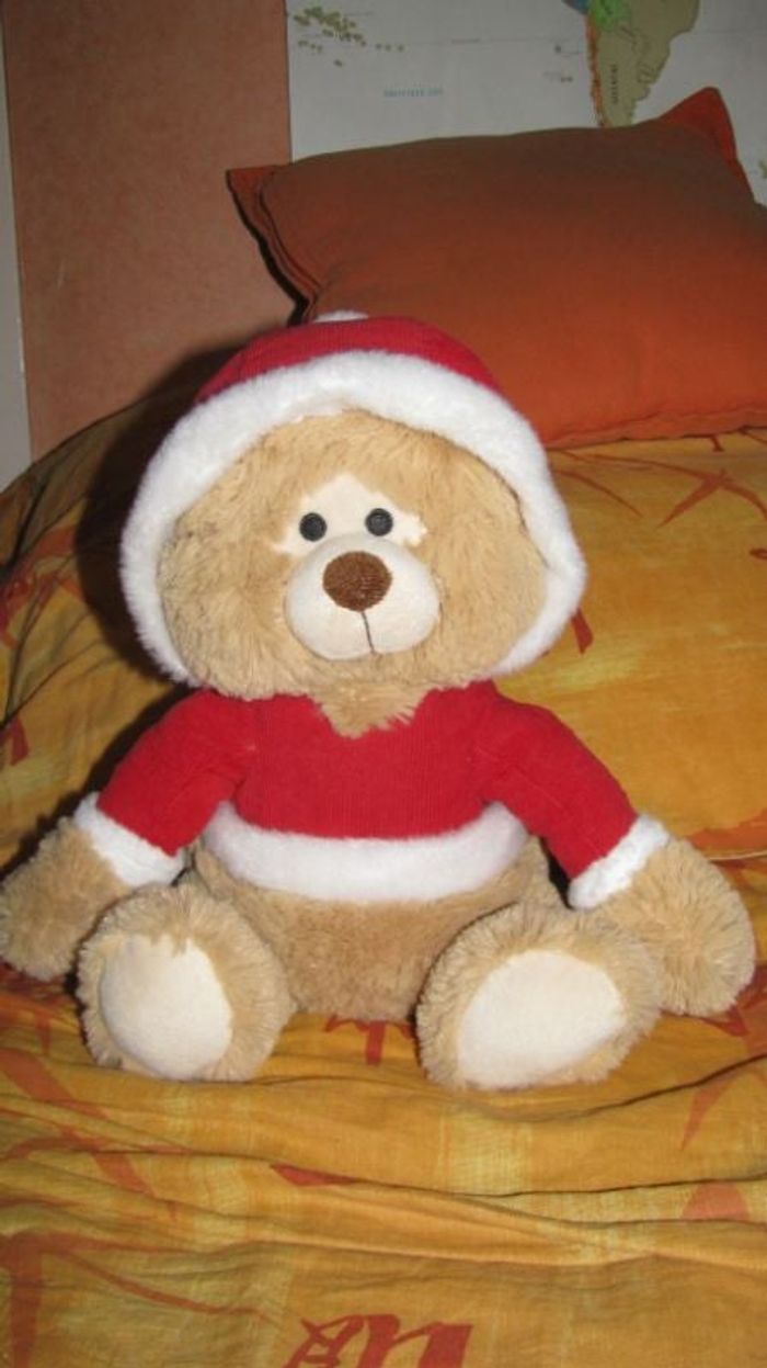 ourson peluche à capluche