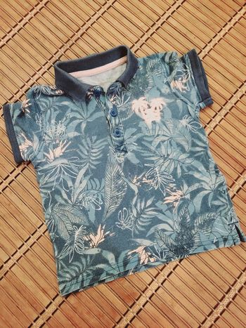 Polo tropical