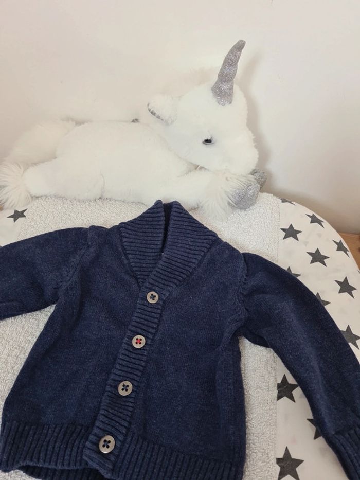 Gilet grain de blé 3 mois