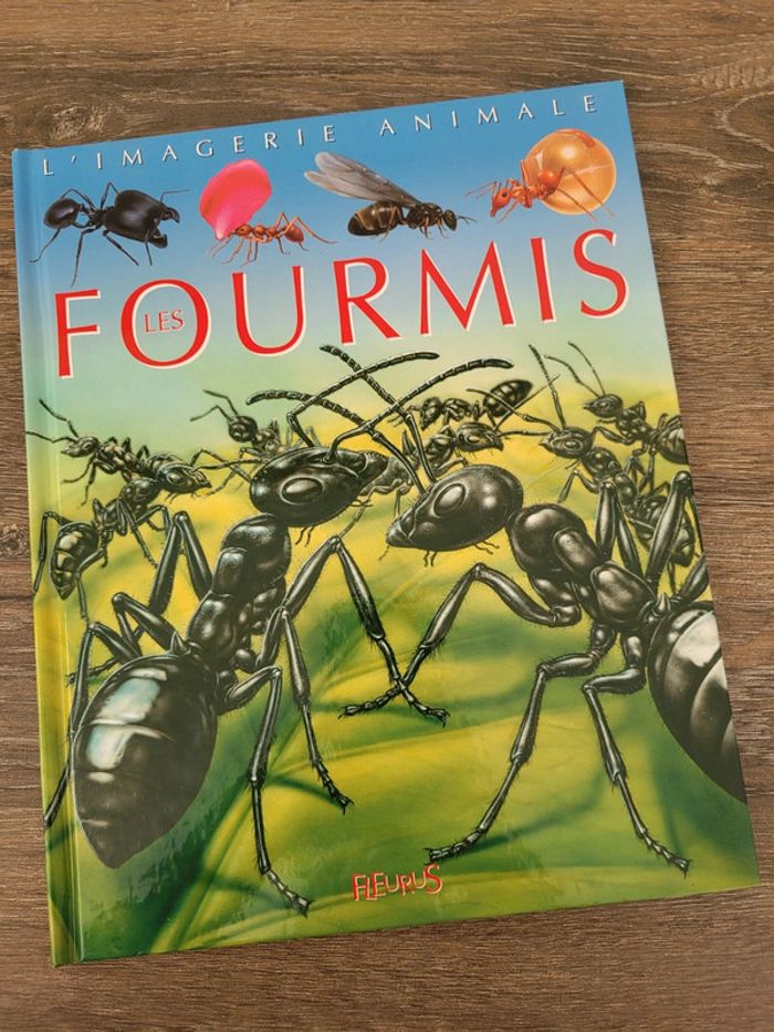 La Grande Imagerie- Les fourmis