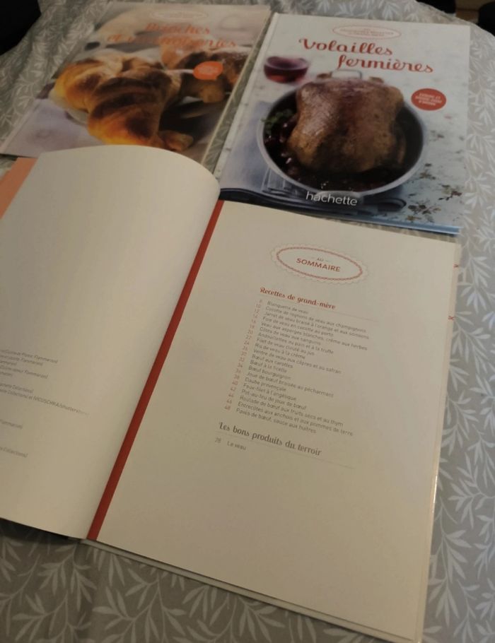 Lot de 4 livres de cuisine mes délicieuses recettes de grands-mères - photo numéro 7