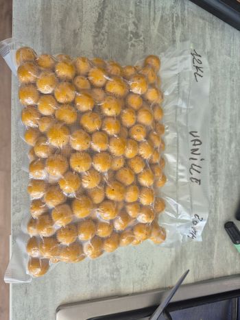 Bouillette pour la pêche 