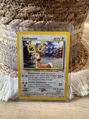 Cartes Pokémon 1995-2001 premières générations