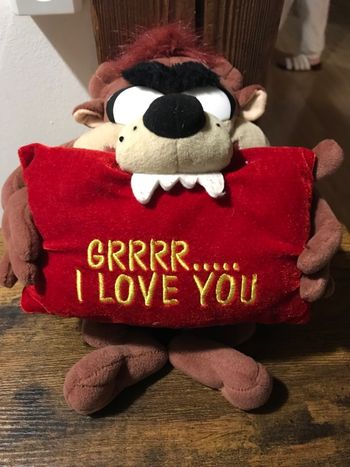 Peluche Looney Tunes Taz i Love you