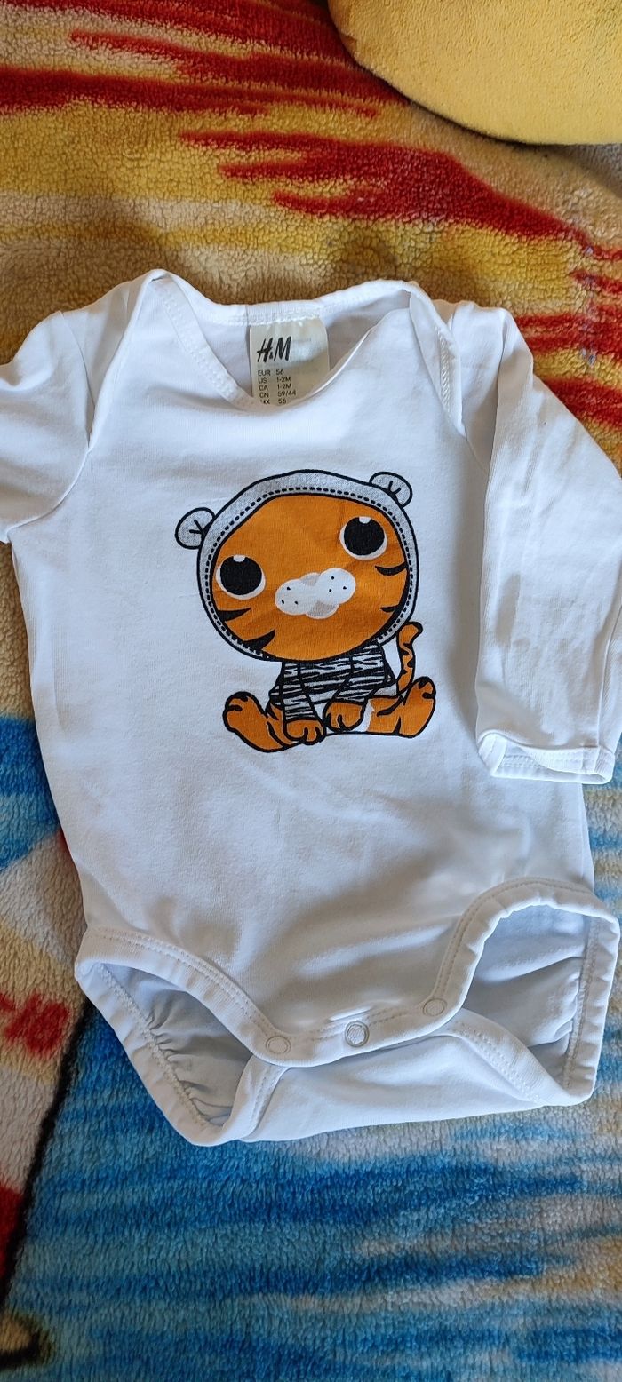 body - photo numéro 2