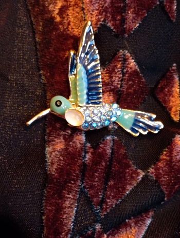 Idee cadeau 🎁: broche oiseau de paradis