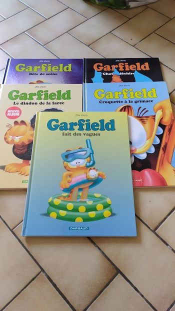 bd garfield