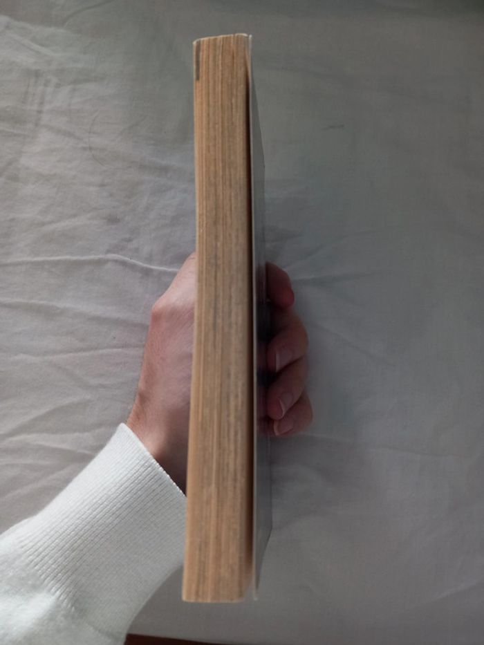 Flic à Tokyo Volume 1 - photo numéro 4