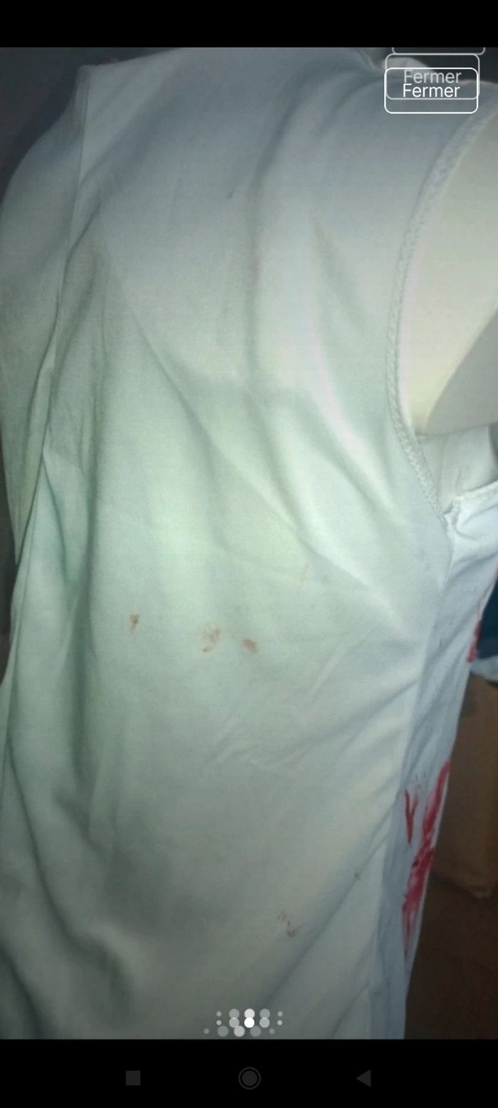 Déguisement femme f12 - photo numéro 2