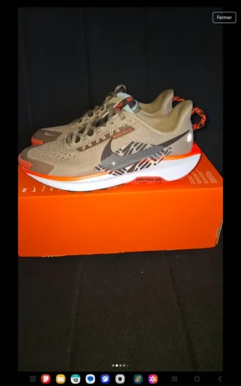 Baskets Nike Pegasus