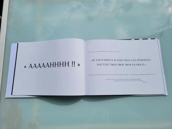 Félinga, Le Paradis des Zémonos, grand format, dédicacé (51) - photo numéro 8