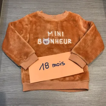 Pull douillet tbe 18 mois Gémo 🌸