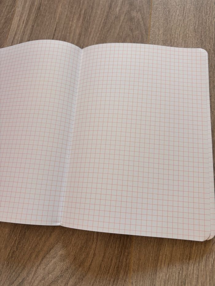 carnet de notes a5 à carreaux neufs jardiland couverture pattes de chien - photo numéro 7