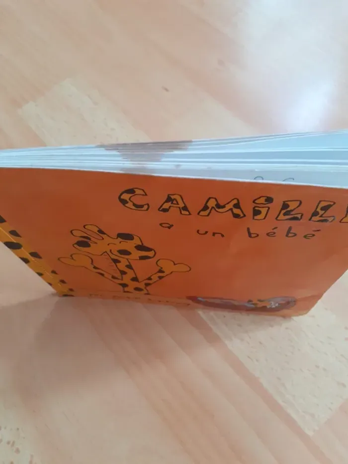 Lot 5 livres Camille - Jacques Duquennoy - photo numéro 8