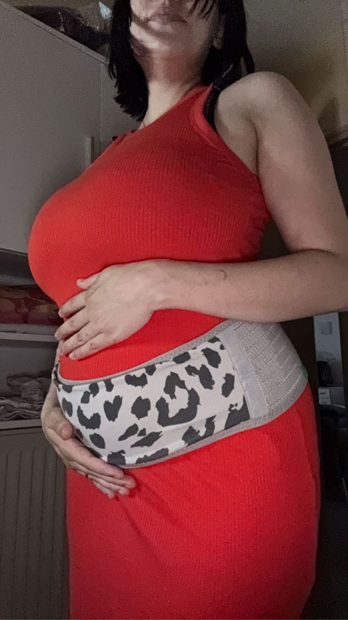 Ceinture grossesse koala babycare