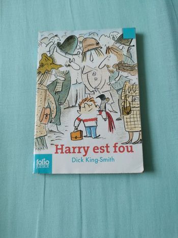 Harry est fou