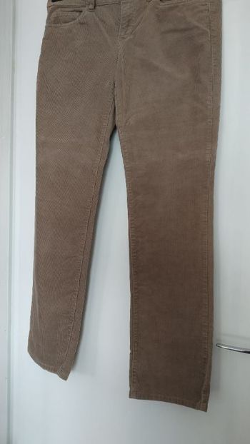 Pantalon velours