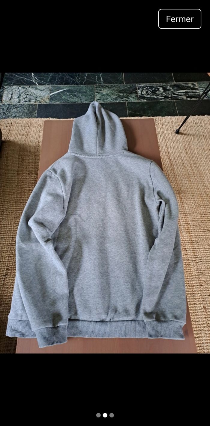 Sweet puma - photo numéro 2