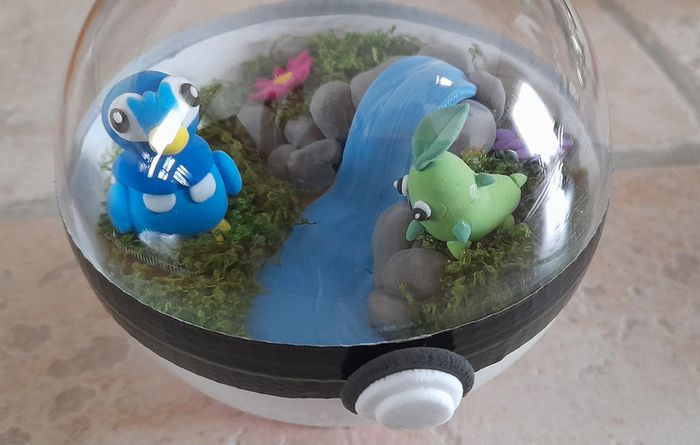 Terrarium Pokemon - photo numéro 2