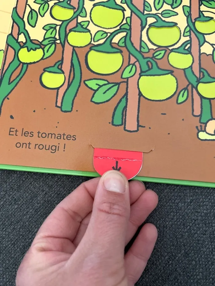 Livre t’choupi jardine comme un grand - photo numéro 3