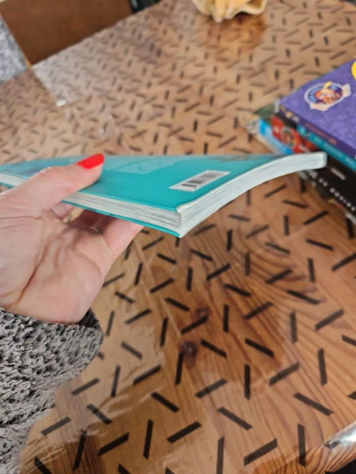 Livre sur les oiseaux - photo numéro 5