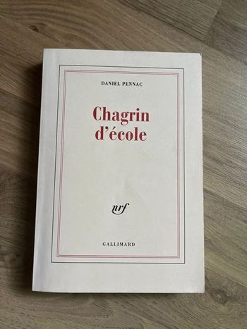 livre Chagrin D'école - Pennac Daniel en tres bon etat ref EC
